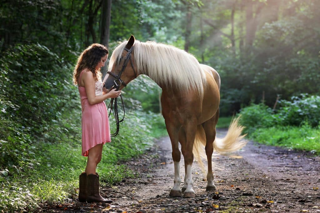 woman caring for a horse