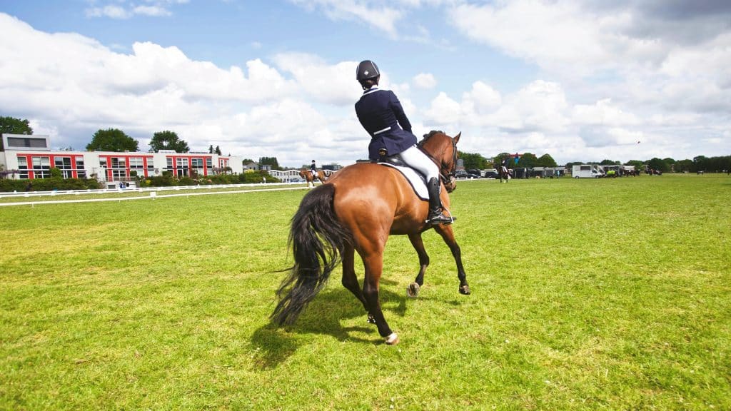 equestrian rider outside
