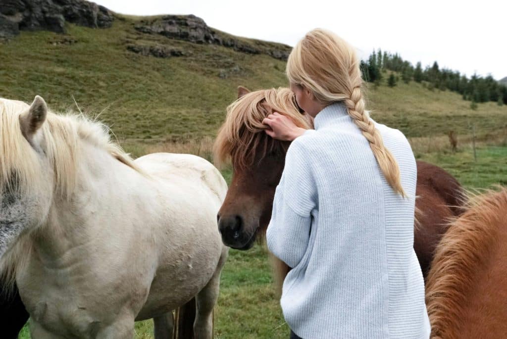 women working with the horse